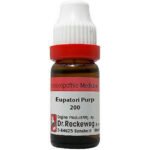 Dr. Reckeweg Eupatorium Purpureum Dilution