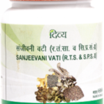 Patanjali Divya Sanjivani Vati Tablets (40g)