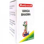 Baidyanath Vanga Bhasma Vang 100 Purity Assured Tablets (10g)