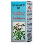 Baidyanath Vat Gajankush Ras Tablet (80 tablets)