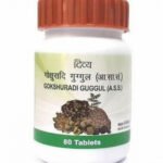Patanjali Divya Gokshuradi Guggul Tablets (80 tablets)