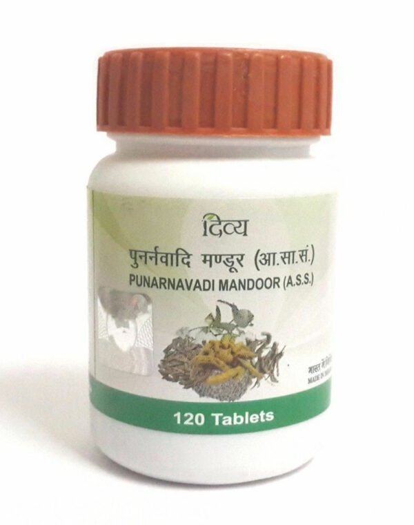 Patanjali Divya Punarnavadi Mandur Punarnavadi Mandoor Tablets (40g)