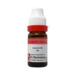 Dr. Reckeweg Amylium Nit Dilution