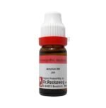Dr. Reckeweg Amylium Nit Dilution