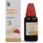 Dr. Willmar Schwabe Berberis Vulgaris Mother Tincture (Q)