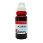 Dr. Reckeweg Apis Mellifica Mother Tincture (Q)
