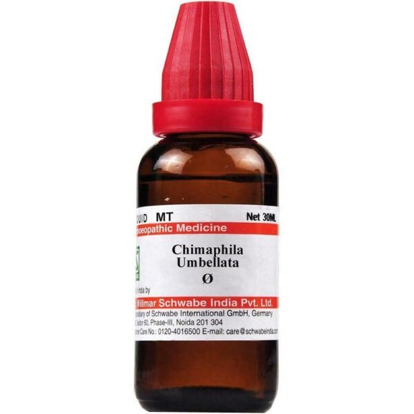 Dr. Willmar Schwabe Chimaphila Umbellata Mother Tincture (Q)