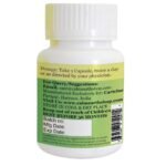 CalmEarth Bitter Melon Extract Capsules – 12:1 (Momordica charantia) - Image 7