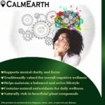 CalmEarth Brahmi Extract Capsules 20% Bacosides (Bacopa monnieri) - Image 3