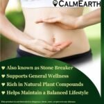 CalmEarth Organic Chanca Piedra Capsules (Whole Plant Powder) - Image 3