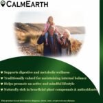 CalmEarth Ginger Extract Capsules (Zingiber officinale) – 6:1 Concentration - Image 3