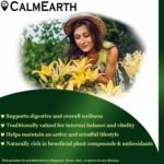 CalmEarth Haritaki Extract Capsules (Terminalia chebula) – 10:1 Concentration - Image 3