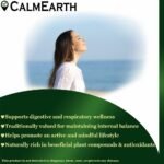 CalmEarth Licorice Extract Capsules – 30% (Mulethi / Glycyrrhiza glabra) - Image 3