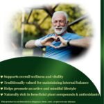 CalmEarth Olive Leaf Extract Powder – 20% Oleuropein (Olea europaea) - Image 3