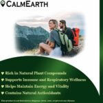 CalmEarth Tulsi Herbal Capsules (Holy Basil Leaf) - Image 3